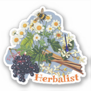 Sticker Herboriste Fleurs de Grande Camomille Sureau en fo
