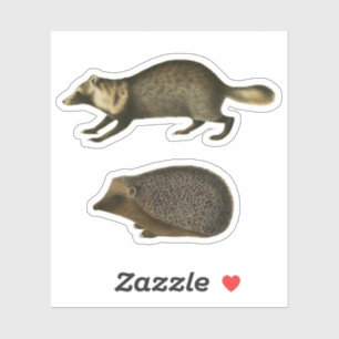 Sticker Hérisson et Marten Illustration Vintage réaliste