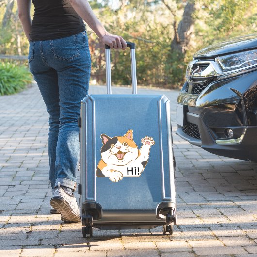Sticker Hi Vinyl, Sticker Cat (Valise Insitu)