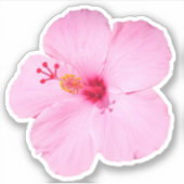 Sticker Hibiscus rose Fleur tropicale (Devant)