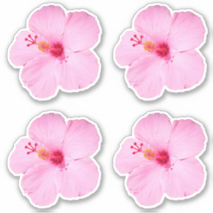 Sticker Hibiscus rose Fleur tropicale