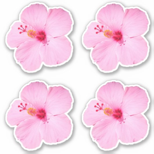 Sticker Hibiscus rose Fleur tropicale (Devant)