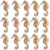 Sticker Hippocampe 15 Grande aquarelle peinte transparente (Devant)