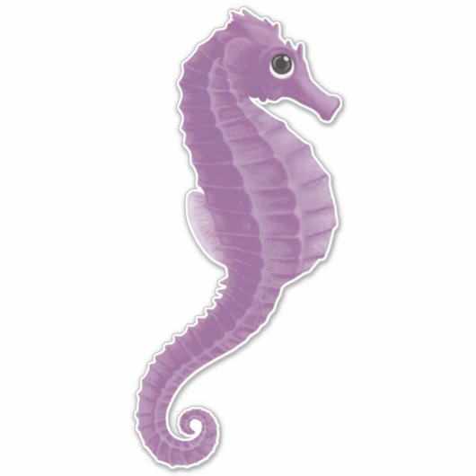 Sticker Hippocampe pourpre (Devant)