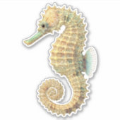 Sticker Hippocampe sarcelle doré (Devant)