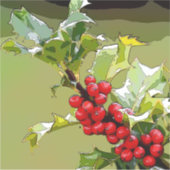 Sticker Holly Berries 005 (Devant)