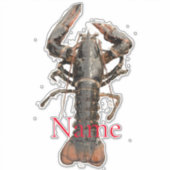 Sticker Homard frais du Maine Thunder_Cove (Devant)