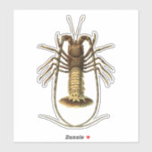 Sticker Homard vintage (Feuille)