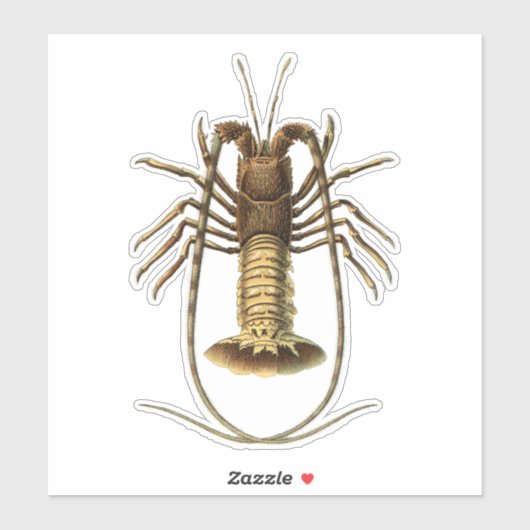 Sticker Homard vintage (Feuille)