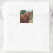 Sticker Horse Country Western Equine Note (Sac)