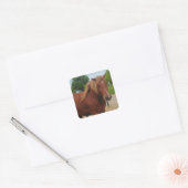 Sticker Horse Country Western Equine Note (Enveloppe)