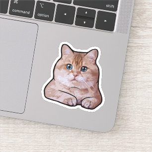 Sticker Hosico Cat