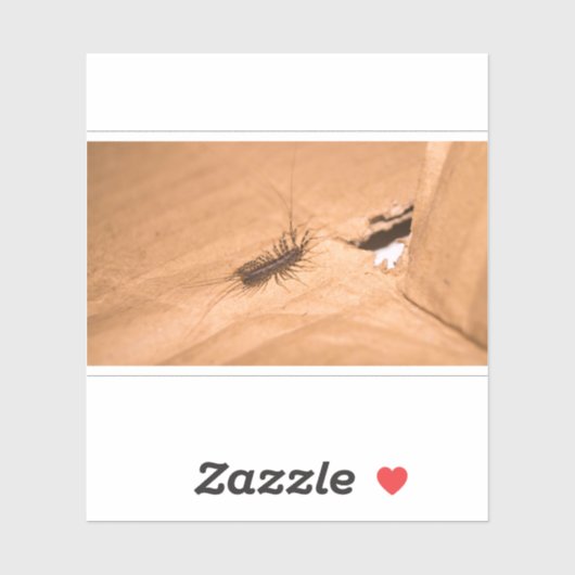 Sticker House Centipede (Feuille)