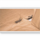 Sticker House Centipede (Devant)