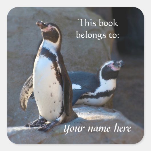 Sticker Humboldt Penguins "Ce livre appartient à" (Devant)
