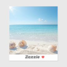 Hunt for the perfect shell