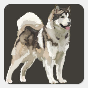Sticker Husky