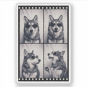 Sticker Husky Dog Portrait (Devant)