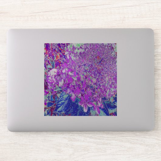 Sticker Hydrangea Limelight Élégant Violet et Bleu (Ordinateur)