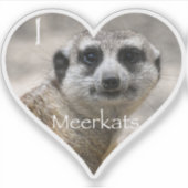 Sticker I Heart Meerkats (Devant)