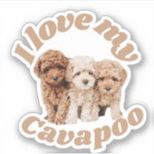 Sticker I Love My Cavapoo Amoureux des chiens Cavoodle Pro (Devant)