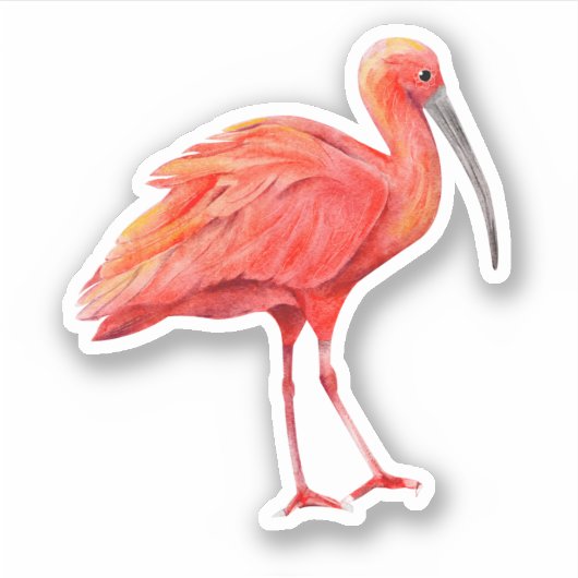 Sticker Ibis en vinyle coupé sur mesure (Devant)