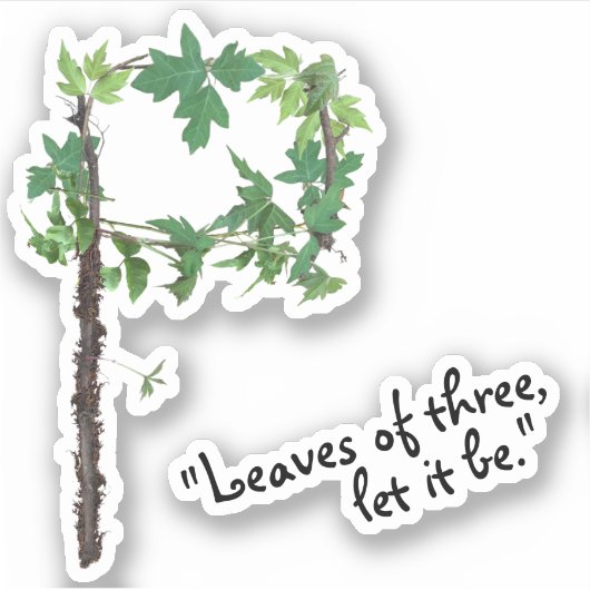 Sticker Identifier le Vin d'ivoire de poison - Feuilles de (Devant)