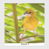 Sticker Il est temps de construire le nid (Feuille)