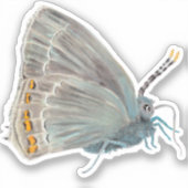 Sticker Ilex Hairstreak Papillon Satyrium ilicis (Recto)