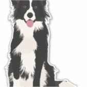 Sticker Illustration Collie Bordure ! (Devant)