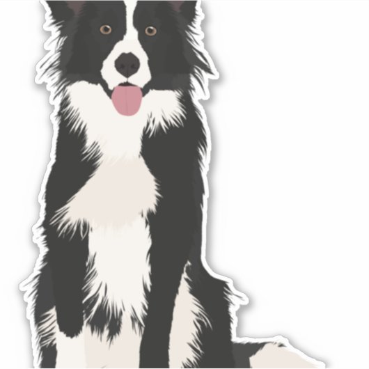 Sticker Illustration Collie Bordure ! (Devant)