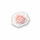 Sticker Illustration de Blush Rose (Devant)