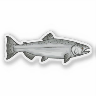 Sticker Illustration de la phase Océan Saumon Chinook