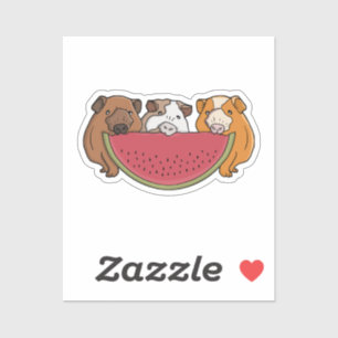 Sticker Illustration des Cochons de Guinée et de la pastèq