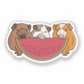 Sticker Illustration des Cochons de Guinée et de la pastèq (Recto)
