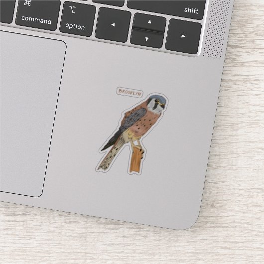 Sticker Illustration d'oiseau américain Kestrel (Détail)