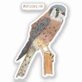 Sticker Illustration d'oiseau américain Kestrel (Recto)