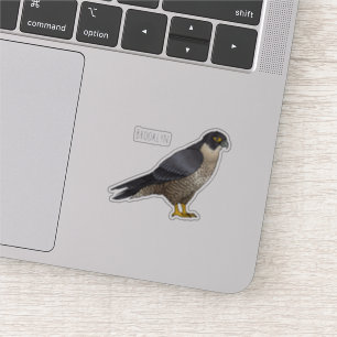 Sticker Illustration d'oiseau de faucon pèlerin