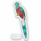 Sticker Illustration d'oiseau de quetzal resplendissant (Recto)