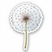 Sticker Illustration du dandelion de dessin (Recto)