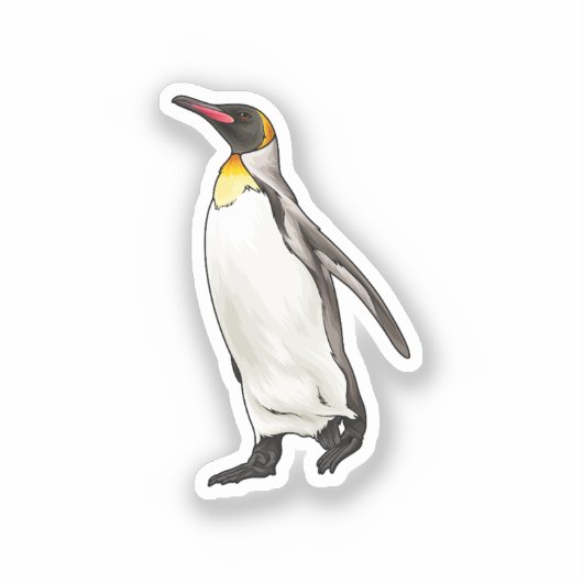 Sticker Illustration vectorielle de pingouin (Recto)