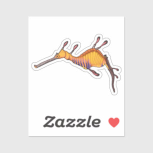 Sticker Illustration vectorielle du dragon de mer commun