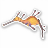 Sticker Illustration vectorielle du dragon de mer commun (Recto)