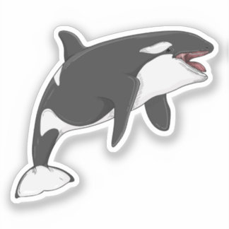 Sticker Illustration vectorielle Orcinus Orca