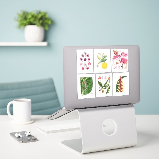 Sticker Illustrations botaniques (Ordinateur portable sur le bureau)