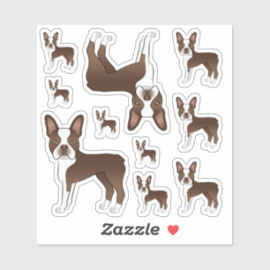 Sticker Illustrations de chien Boston Terrier marron et bl