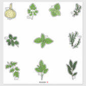 Sticker Illustrations d'herbe de cuisine botanique (Feuille)