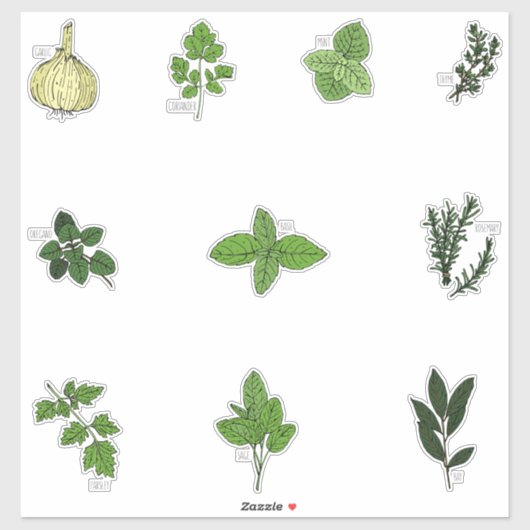 Sticker Illustrations d'herbe de cuisine botanique (Feuille)