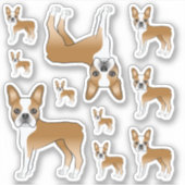 Sticker Illustrations Fawn Et White Boston Terrier Dog (Devant)