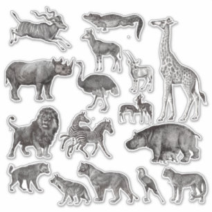 Sticker Illustrations vintages animales africaines